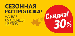 Предложения Сад и ремонт в Бауцентр в каталоге Королёв