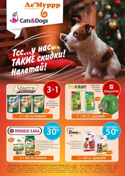 Преложения из Cats&Dogs в рекламном проспекте Щёлково