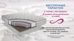 Преложения из Toris в рекламном проспекте Реутов