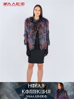 Преложения из Алеф в рекламном проспекте Калуга